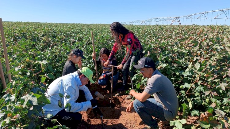 Com apoio da Abapa, projeto coleta 3,6 mil amostras para avaliar carbono no solo