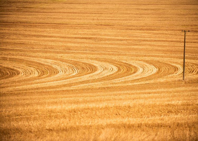 Manejo de solo passa a fazer parte do Zoneamento de Risco Climático da soja