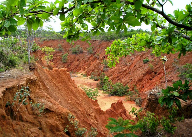 Pesquisadores disponibilizam novo mapa de erodibilidade dos solos do Brasil