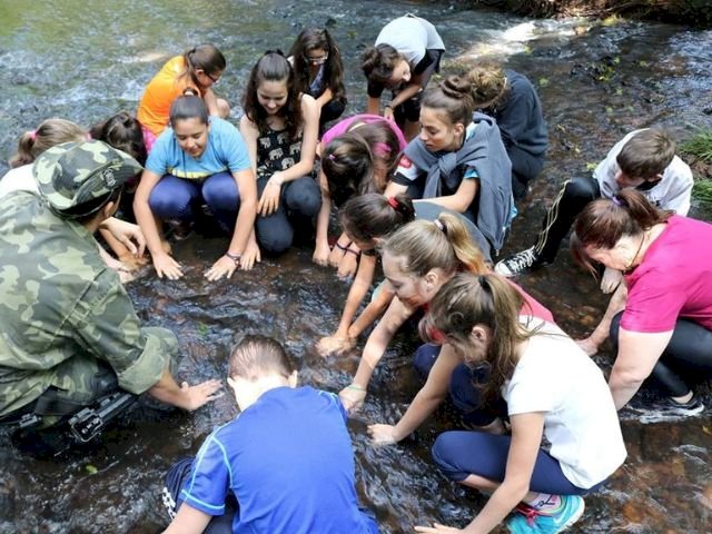 Parceria entre Epagri e comunidades recupera matas ciliares no Extremo Oeste de SC há quase duas décadas