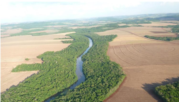 Sistema Plantio Direto: a tecnologia que alavancou o agronegócio brasileiro e garante a sustentabilidade em tempos de mudanças climáticas