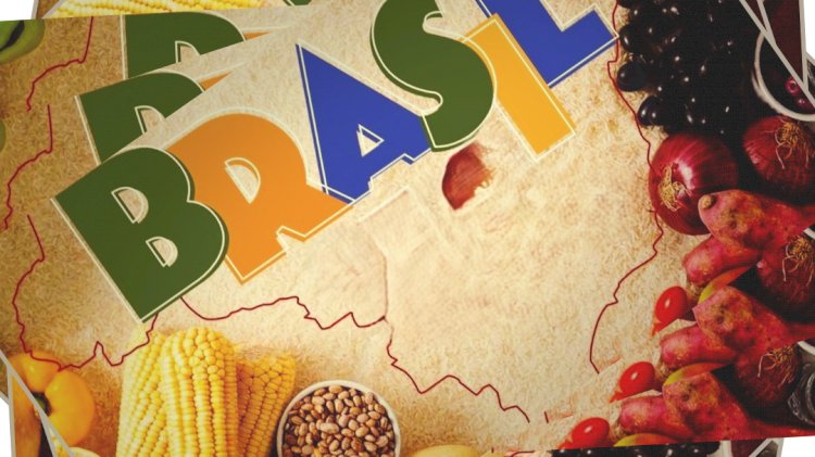 Agriculturas do Brasil