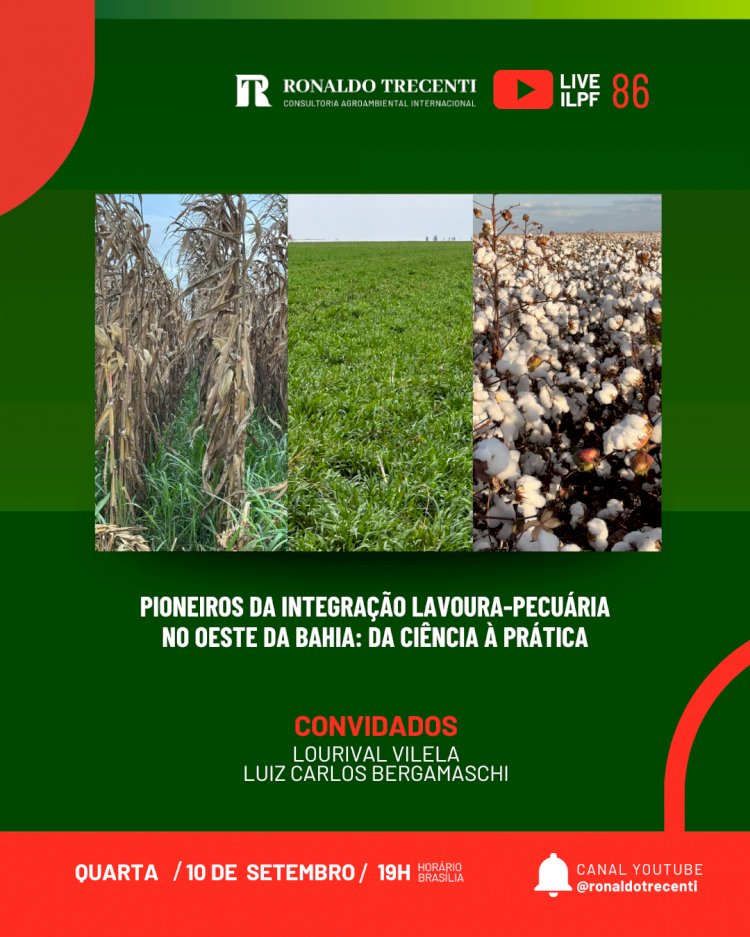 Live desta quarta: Pioneiros da Integração Lavoura-Pecuária no Oeste da Bahia