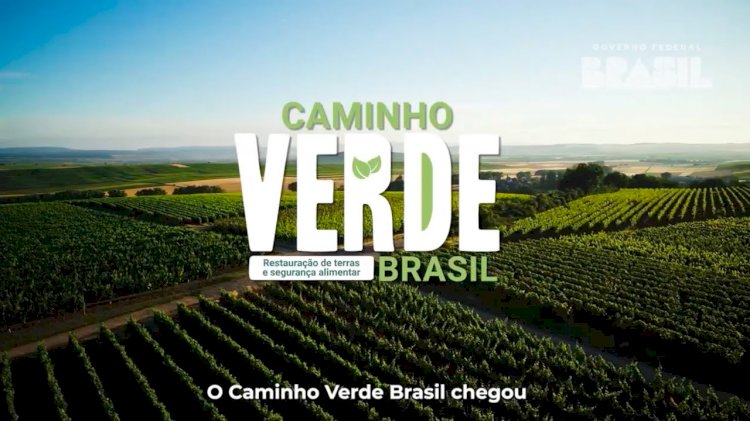 Caminho Verde Brasil como modelo de blended finance