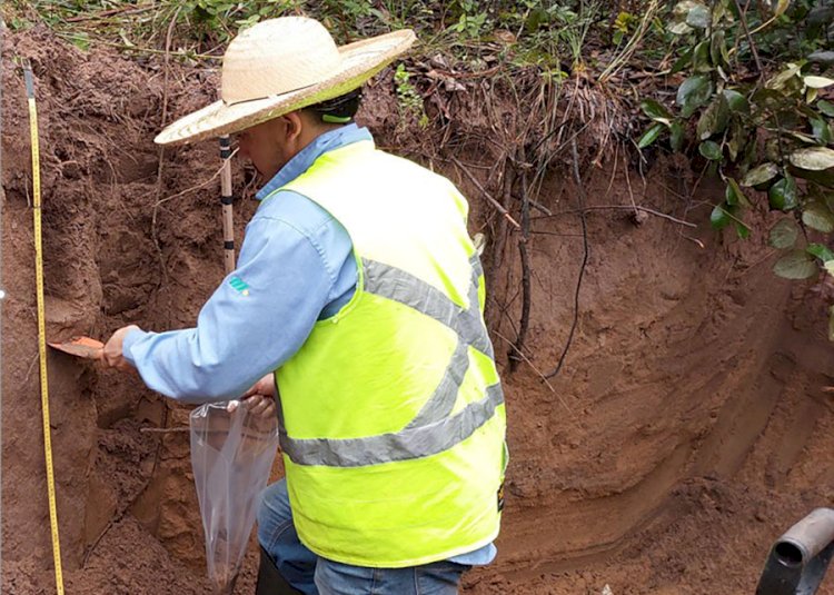 Método simplifica medição de carbono no solo com laser e IA