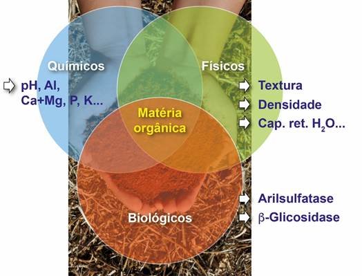 Da química à biologia: como o Brasil está liderando a revolução da saúde do solo