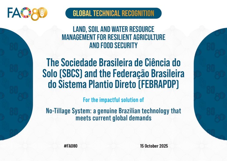 FAO reconhece Sistema Plantio Direto como modelo de tecnologia para o mundo