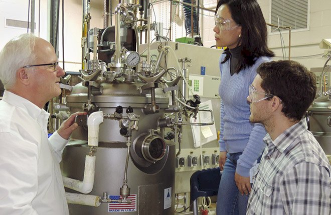 Pesquisadores avançam na produção de microescleródios de Trichoderma para controle de doenças do solo 