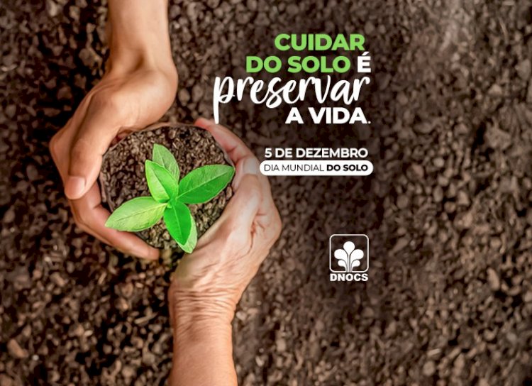 5 de Dezembro: Dia Mundial do Solo. Conservá-lo significa garantir um futuro!