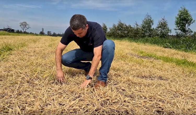 Estratégias de manejo melhoram qualidade do solo e aumentam renda do produtor