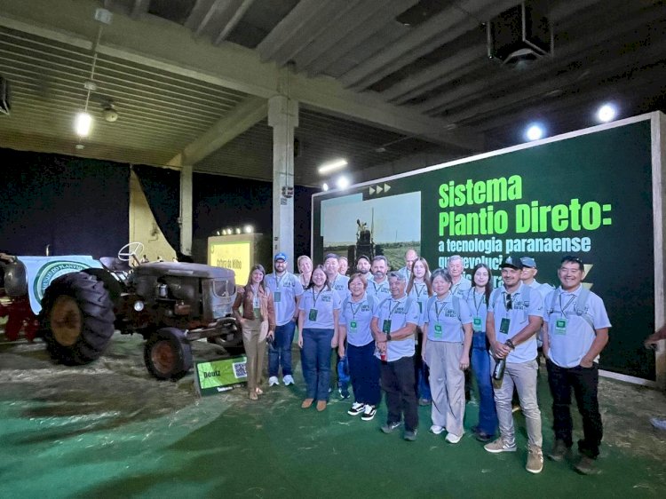 Conhecer o passado para plantar o futuro
