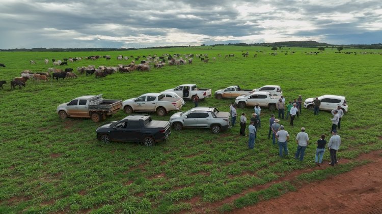 Sistemas integrados são apresentados em curso de pecuária bovina e pastagem regenerativas