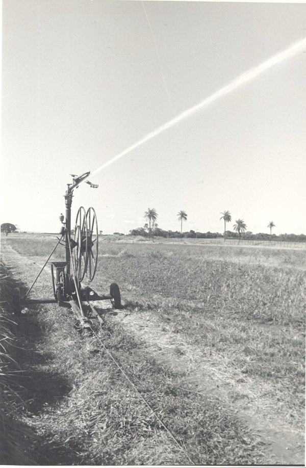 A contribuição dos 50 anos de ciência para transformação da agricultura irrigada no Cerrado