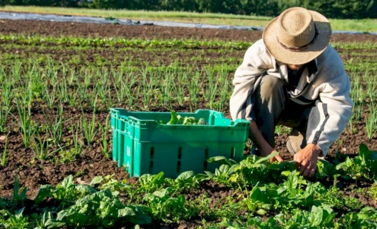 Mudanças climáticas: o desafio da resiliência no cooperativismo agro
