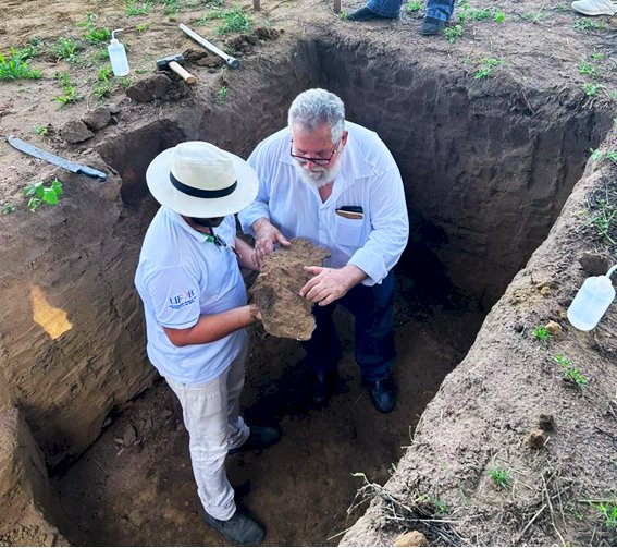 O solo como estrutura de relações no Sistema Plantio Direto