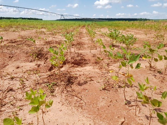 Uma necessidade premente