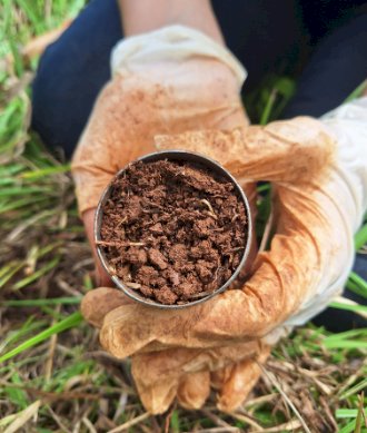 Projeto avalia minhocas e outros organismos como bioindicadores da qualidade dos solos
