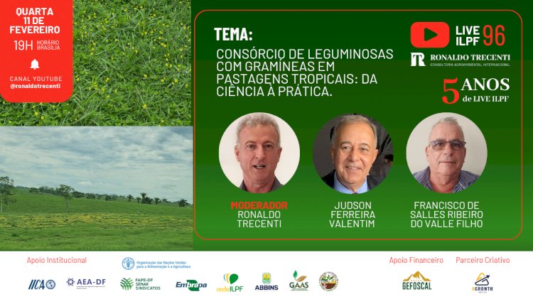 Live sobre consórcio de leguminosas com gramíneas em pastagens tropicais