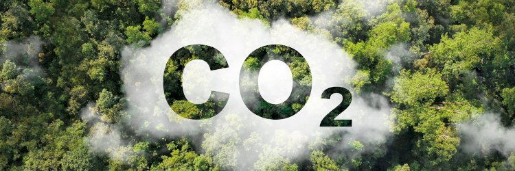 Mercado de carbono atrai produtores, mas exige cautela