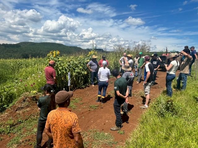 Epagri incentiva produção sustentável de hortaliças em SC