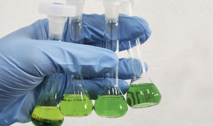 Pesquisadores desenvolvem novo processo para a produção sustentável de amônia