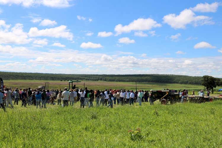 ILP impulsiona reconversão de áreas com pastagens degradadas em Minas