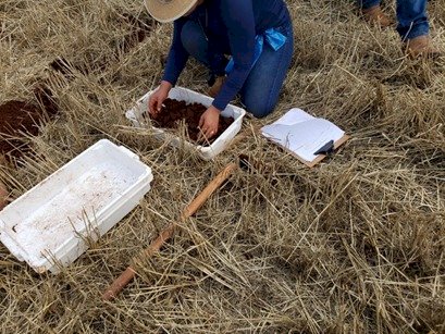 Projeto na área de Itaipu estabelece protocolo de manejo conservacionista em área de grãos