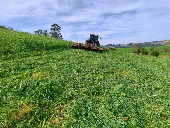 Agricultura de inverno no Sistema Plantio Direto
