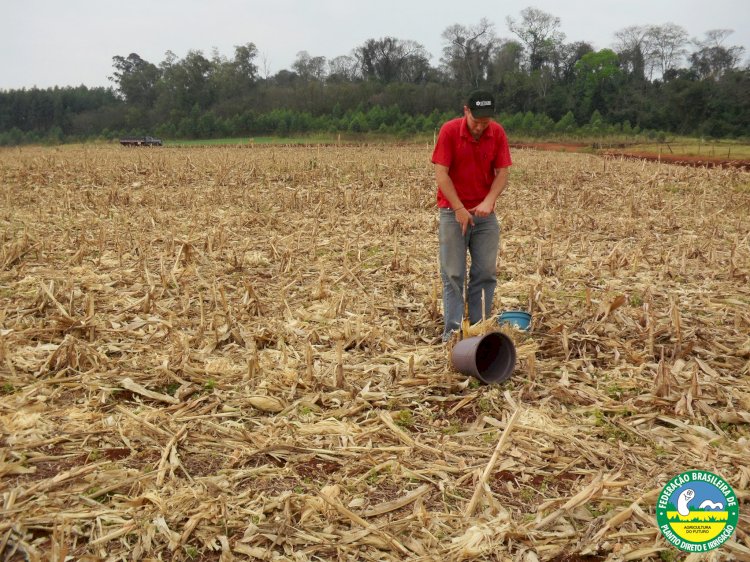 Vulnerabilidades e fragilidades do Sistema Plantio Direto