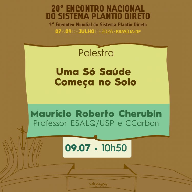 O Sistema Plantio Direto como porto seguro