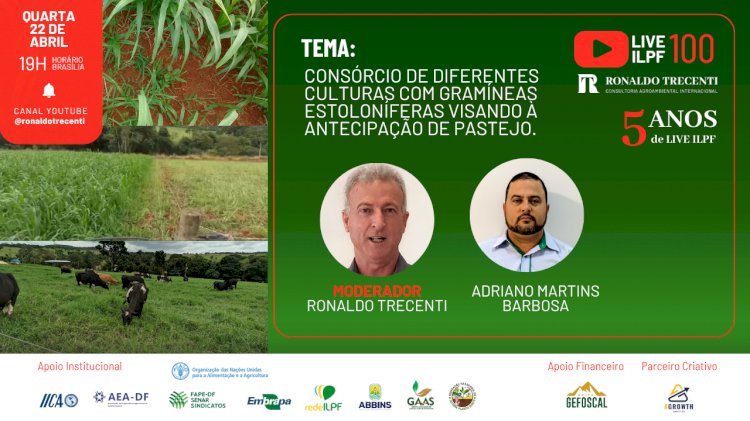 Live aborda modelos de consórcio de diferentes culturas com gramíneas estoloníferas