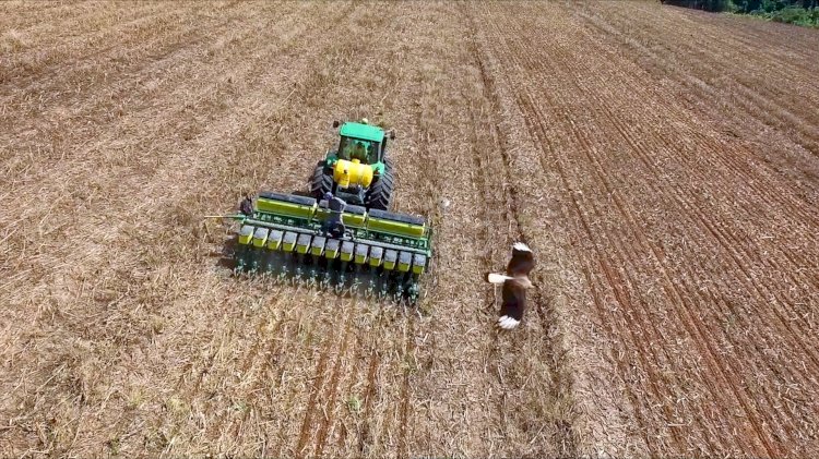 Sistema Plantio Direto como prática da agricultura coletiva