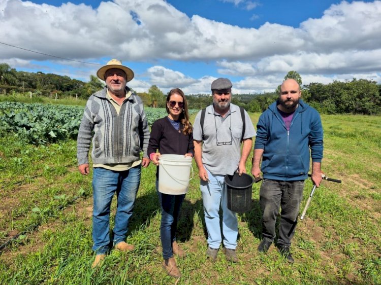 Parceria entre CATI e Epagri valoriza Sistema Plantio Direto de Hortaliças em SP