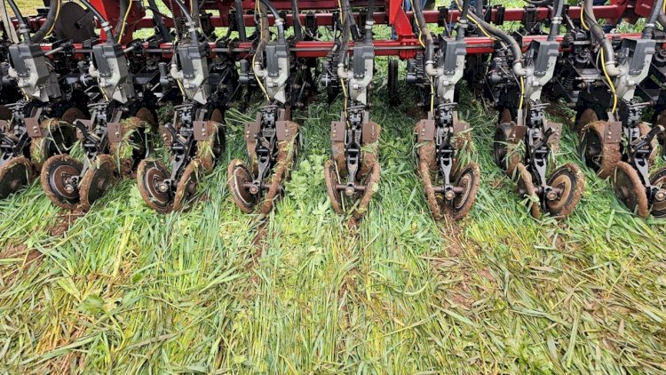 A fertilidade ecológica do Sistema Plantio Direto