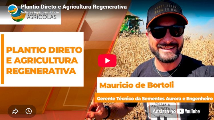 Quebrando paradigmas sobre a adoção do SPD - Entrevista com o produtor Mauricio de Bortoli, da Sementes Aurora