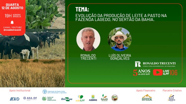 Nesta quarta, Live ILPF aborda a produção de leite a pasto no Semiárido