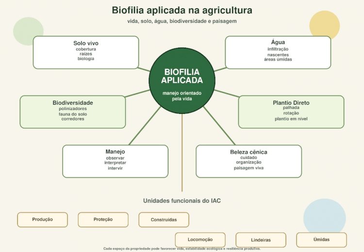 Biofilia aplicada na agricultura