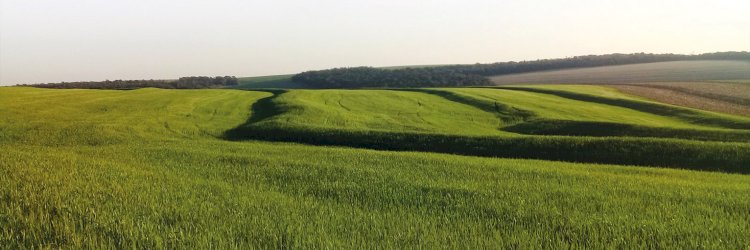 Conservação do solo transforma chuva em produtividade