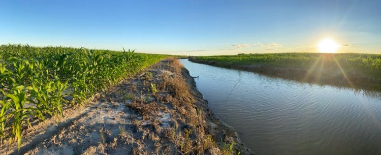 A diferença eco-hidrológica do Sistema Plantio Direto