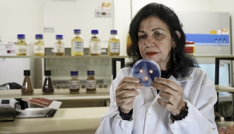 Mariangela Hungria debate protagonismo dos bioinsumos na agricultura