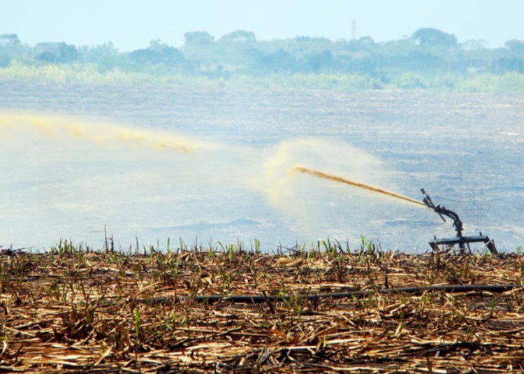 Estudo mapeia áreas no Brasil mais vulneráveis à poluição difusa gerada pela agropecuária