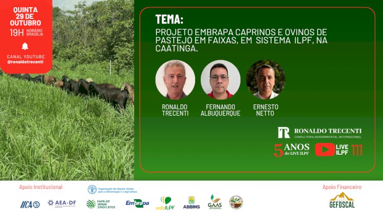 Live ILPF aborda caprinos e ovinos em ILPF na Caatinga